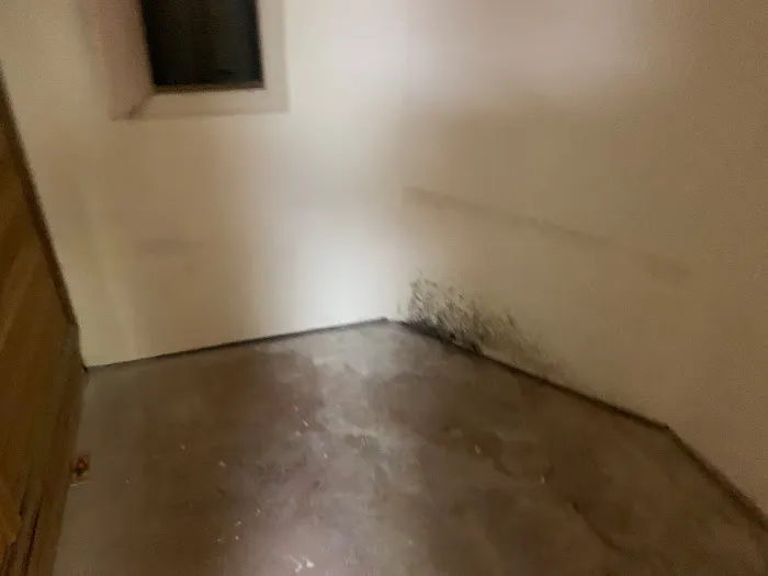 ExecPro Cleaning Picture 4