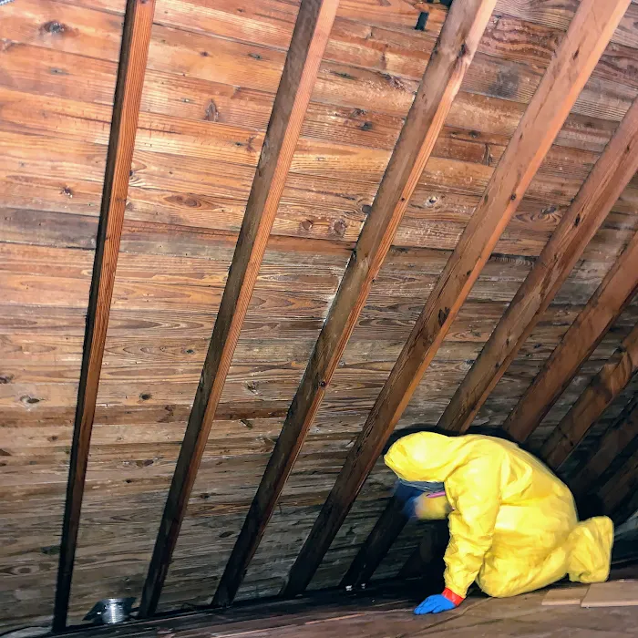 RDC Restoration | Emergency Water Damage Cleanup Picture 10