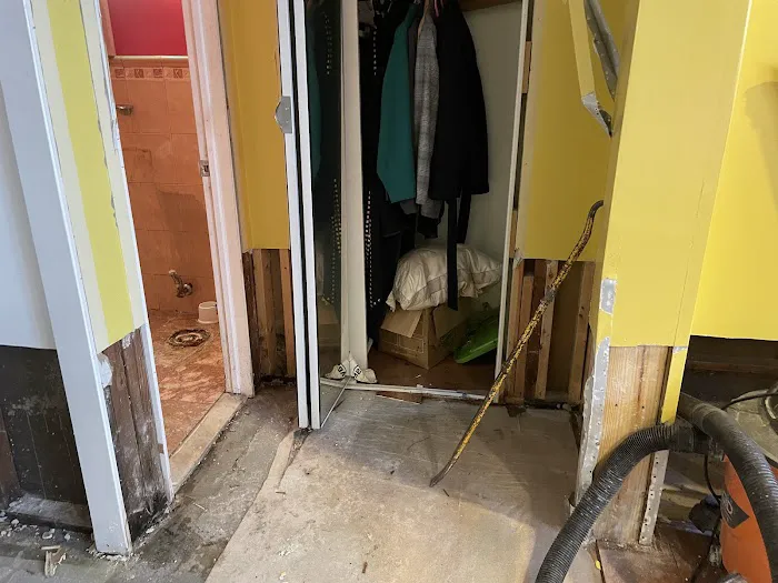 Rainbow International Picture 7