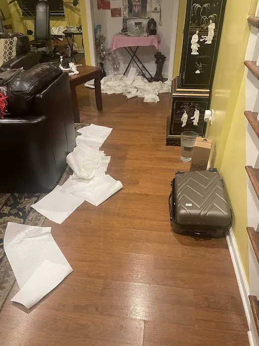 Rainbow International Picture 10