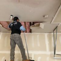 Rainbow International ico