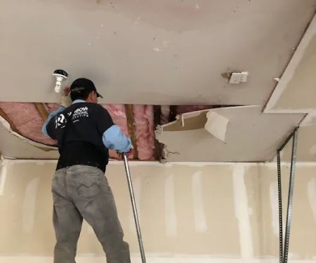 Rainbow International