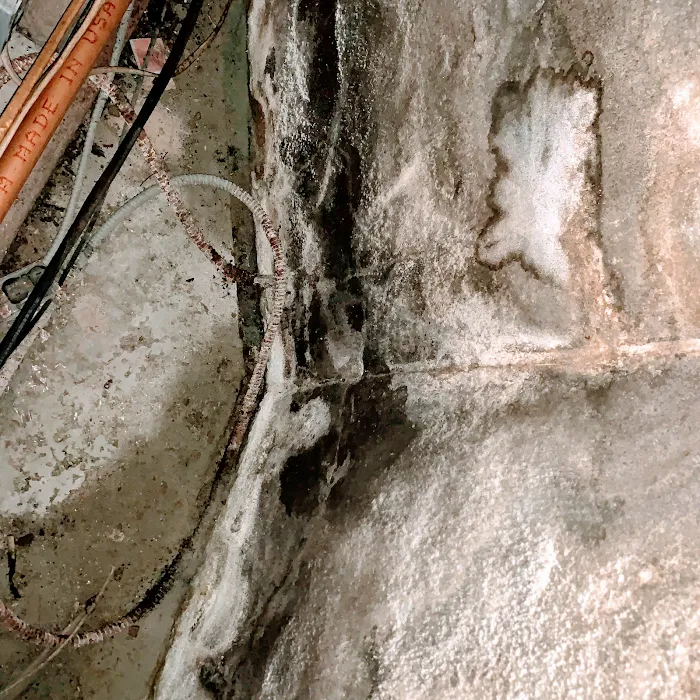 NJ ABATERS Picture 10