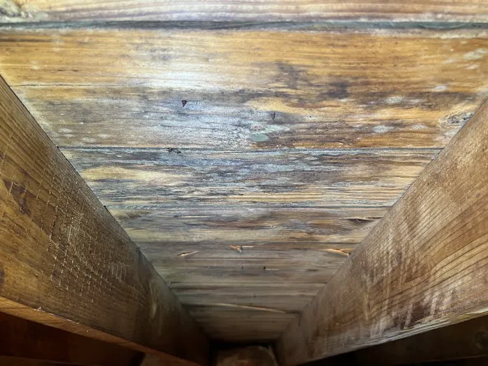 NJ ABATERS Picture 5