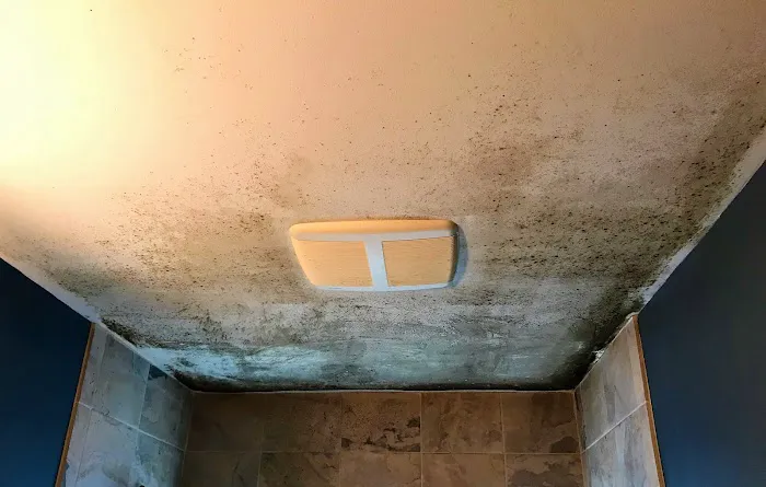 NJ ABATERS Picture 3