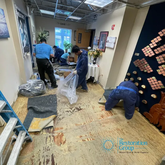 The Group of Central Picture 6