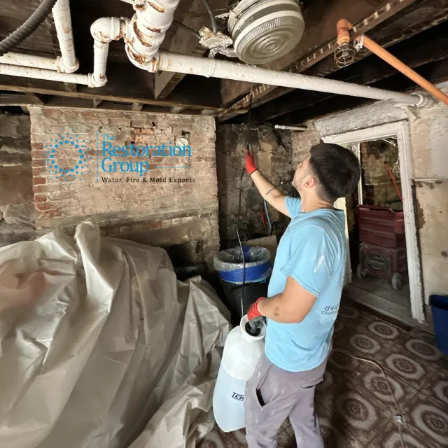 The Group of Central Picture 8