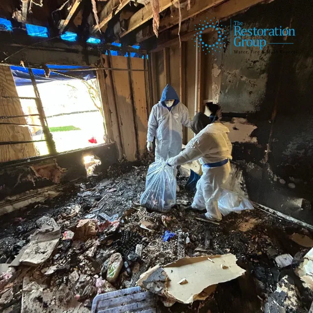 The Group of Central Picture 10