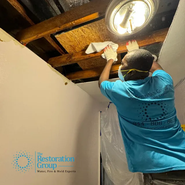 The Group of Central Picture 4