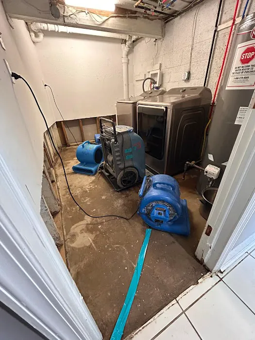 The Group of Central Picture 2