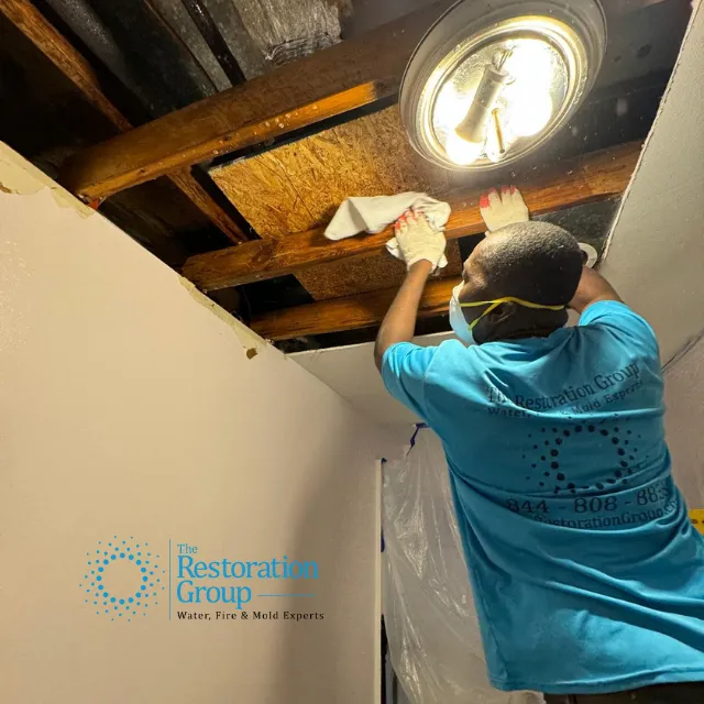 The Group of Central Picture 5