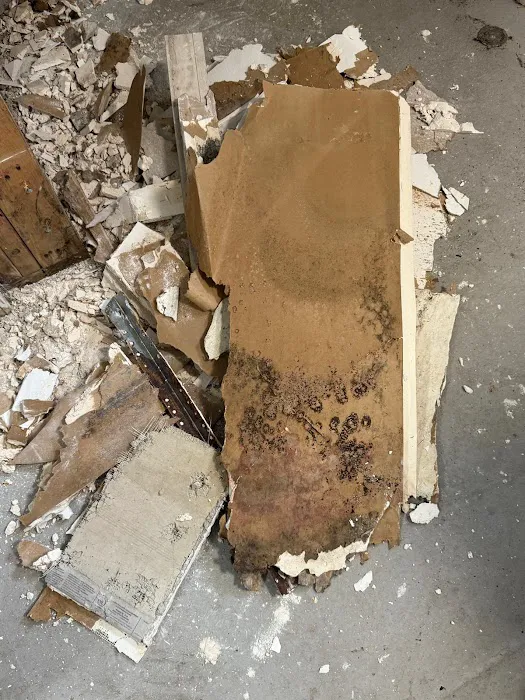 Green Guard Mold Remediation of Edison Picture 10