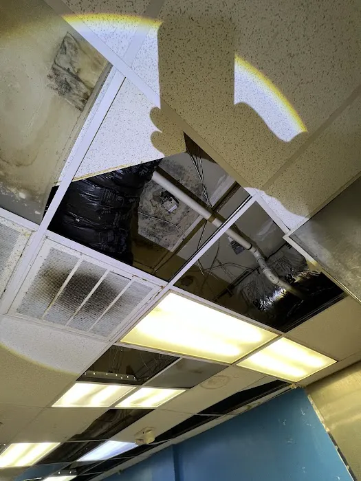 Green Guard Mold Remediation of Edison Picture 7