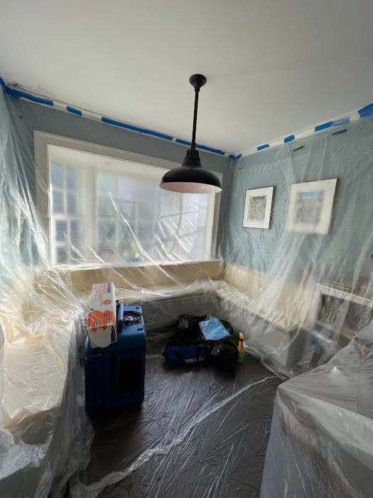 Green Guard Mold Remediation of Edison Picture 4