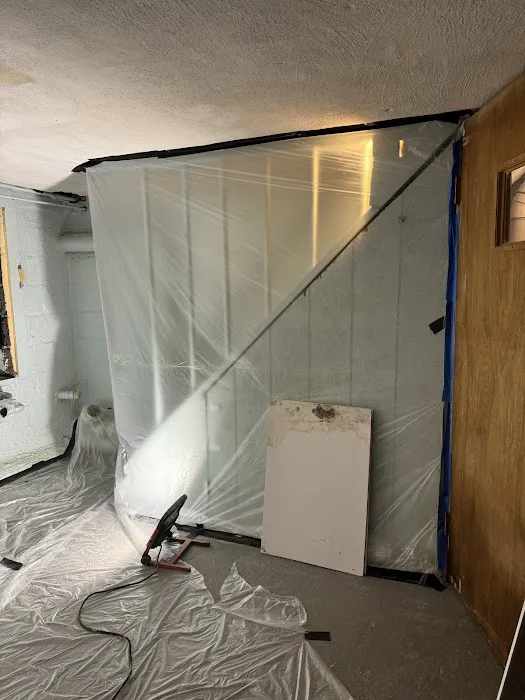 Green Guard Mold Remediation of Edison Picture 1