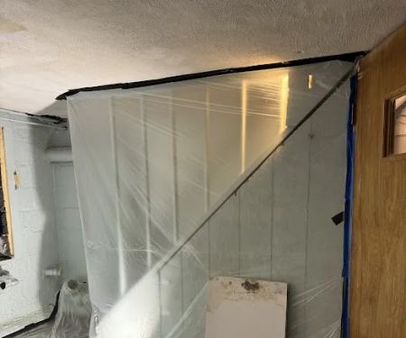 Green Guard Mold Remediation of Edison