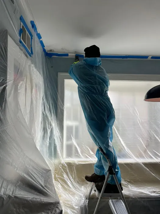 Green Guard Mold Remediation of Edison Picture 2