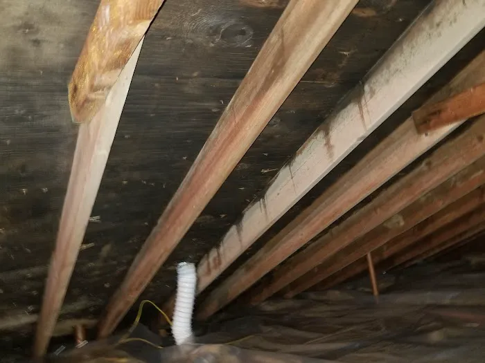 Mold Solutions NJ LLC Picture 6