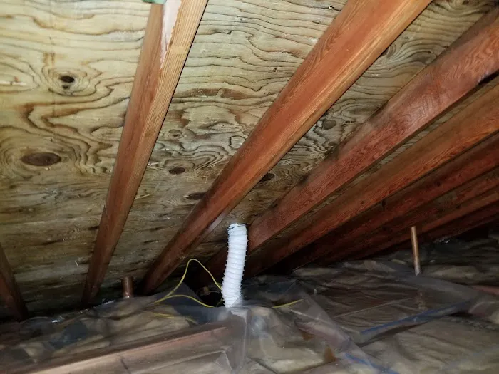 Mold Solutions NJ LLC Picture 3