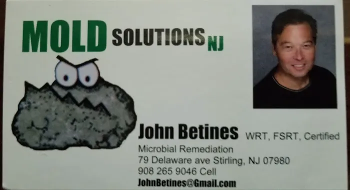Mold Solutions NJ LLC Picture 1