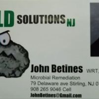 Mold Solutions NJ LLC ico