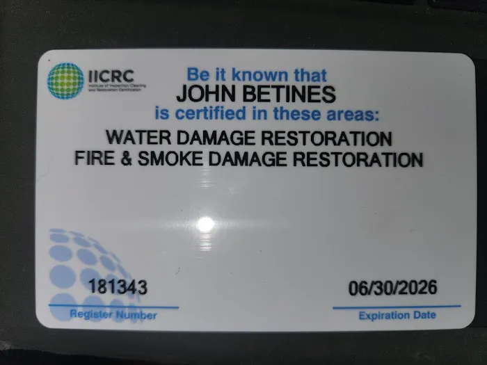 Mold Solutions NJ LLC Picture 2