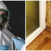New Age Home Solutions LLC | Mold Cleanup, Mold Removal ico