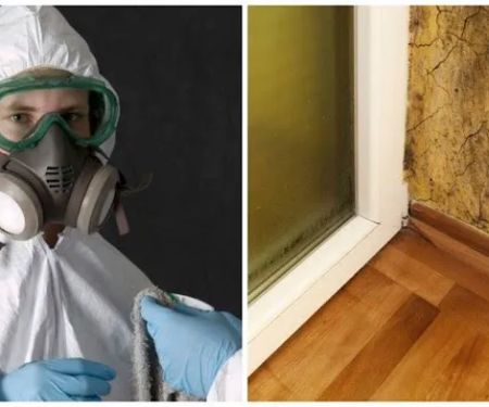 New Age Home Solutions LLC | Mold Cleanup, Mold Removal