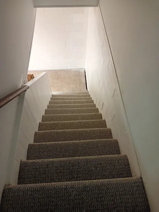 GreenTec Restoration Picture 6