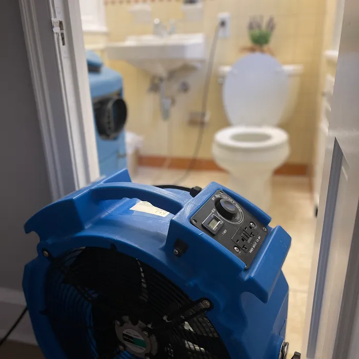 Bulldog Cleaning & Restoration Picture 2