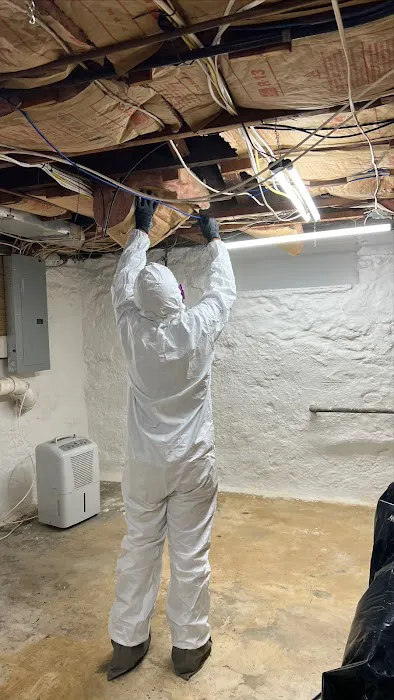 Bulldog Cleaning & Restoration Picture 6