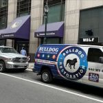 Bulldog Cleaning & Restoration