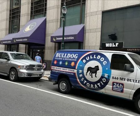 Bulldog Cleaning & Restoration