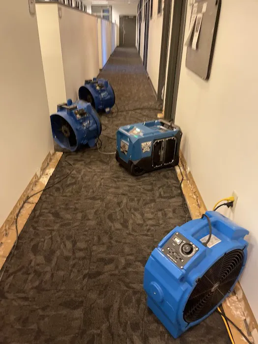 Bulldog Cleaning & Restoration Picture 4