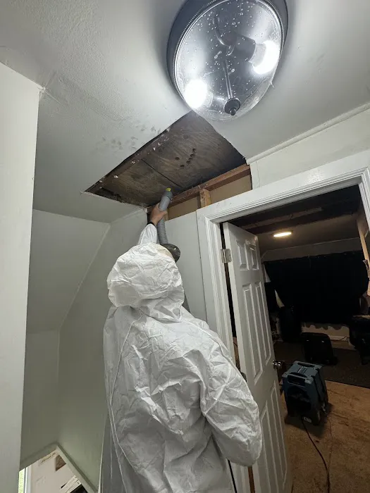 Keystone Mitigation Services Picture 9