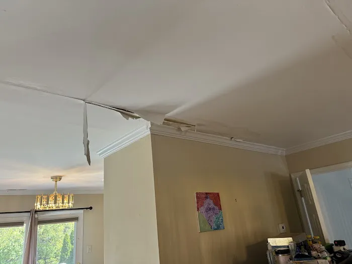 Elite Water Damage Restoration Picture 2