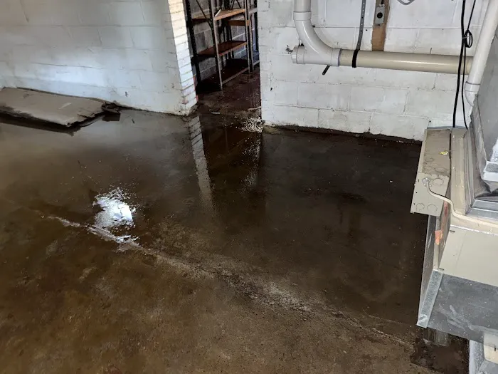 Elite Water Damage Restoration Picture 6