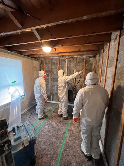 Merdani Services Picture 6