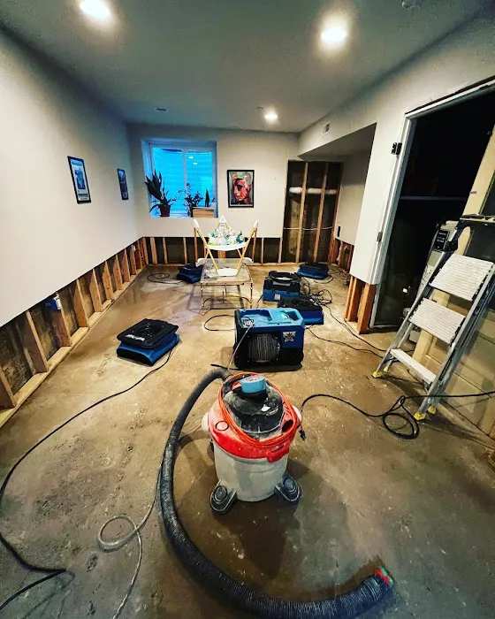 Merdani Services Picture 8