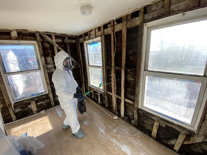 Merdani Services Picture 4