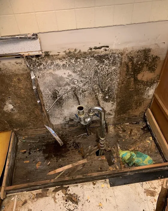 Top Shelf Mold Removal Picture 8