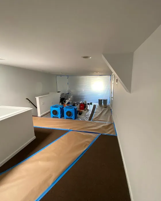 Top Shelf Mold Removal Picture 1