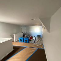 Top Shelf Mold Removal ico