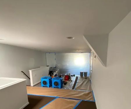 Top Shelf Mold Removal