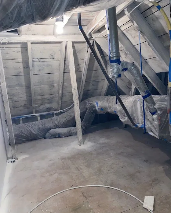 Top Shelf Mold Removal Picture 5