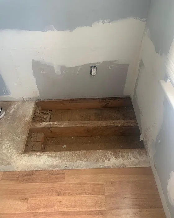 Top Shelf Mold Removal Picture 3