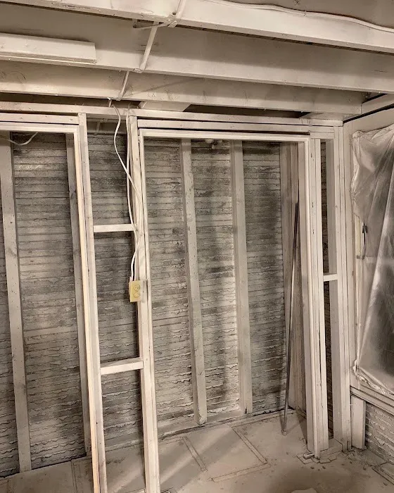 Top Shelf Mold Removal Picture 4