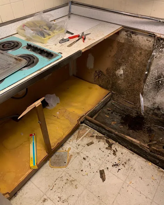 Top Shelf Mold Removal Picture 9