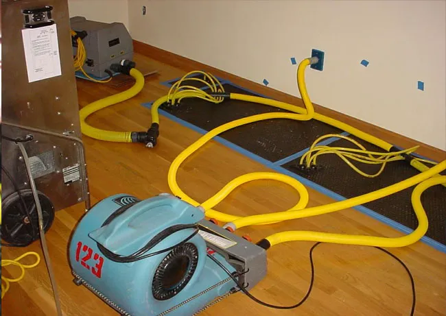 Royal Water Picture 4