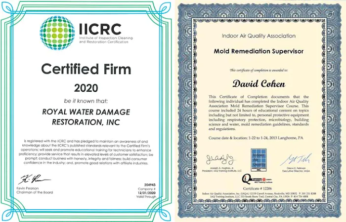 Royal Water Picture 3